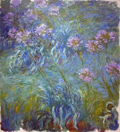 Agapanthus by Claude Monet